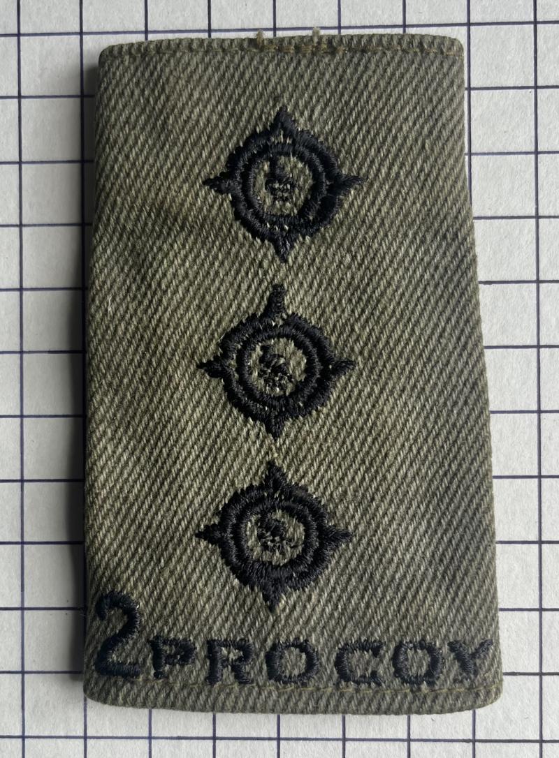 c1980s 2nd Protection Company Zimbabwe Shoulder Title Rank Slide Badge