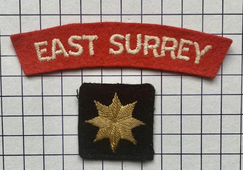 cWW2 1st Battalion East Surrey Regiment Cloth Flash Formation Designation Sign & Shoulder Title Patch