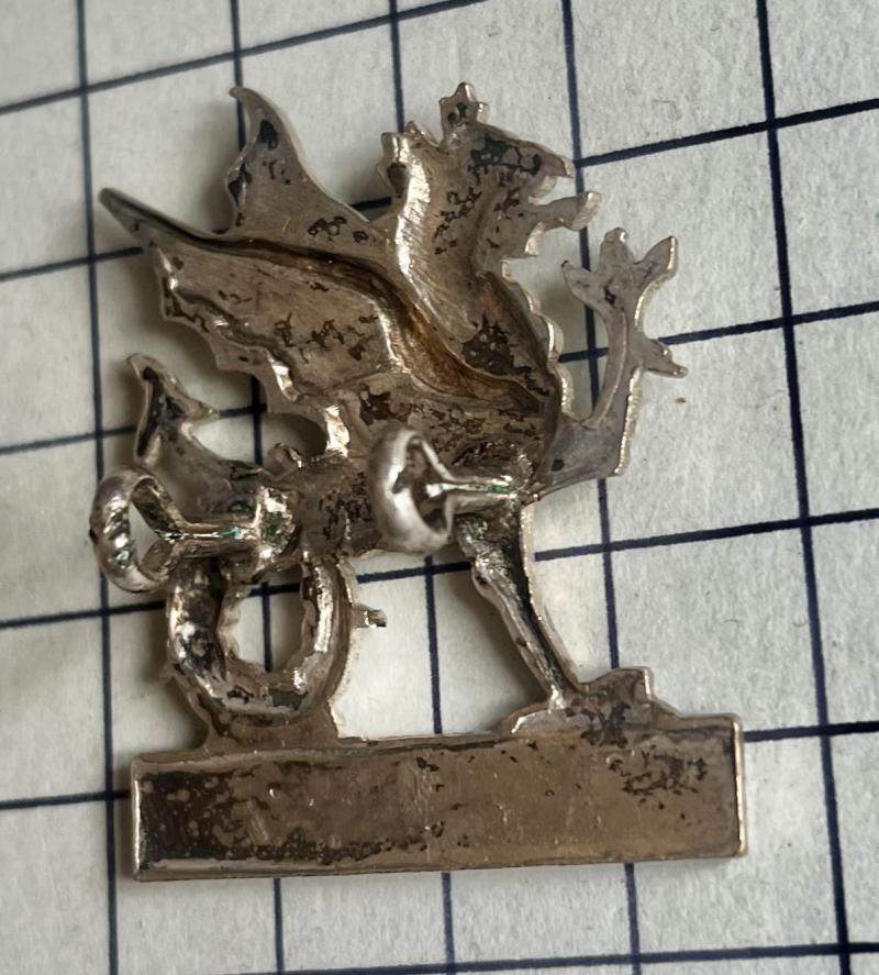 Wessex Brigade / Regiment Silvered Officer Pattern Cap Badge