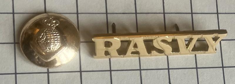 Pre-1996 Royal Australian Survey Corps (RASVY) Shoulder Title & Button