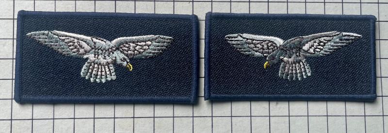 c2000s Royal Air Force (RAF) Other Ranks Arm Badges