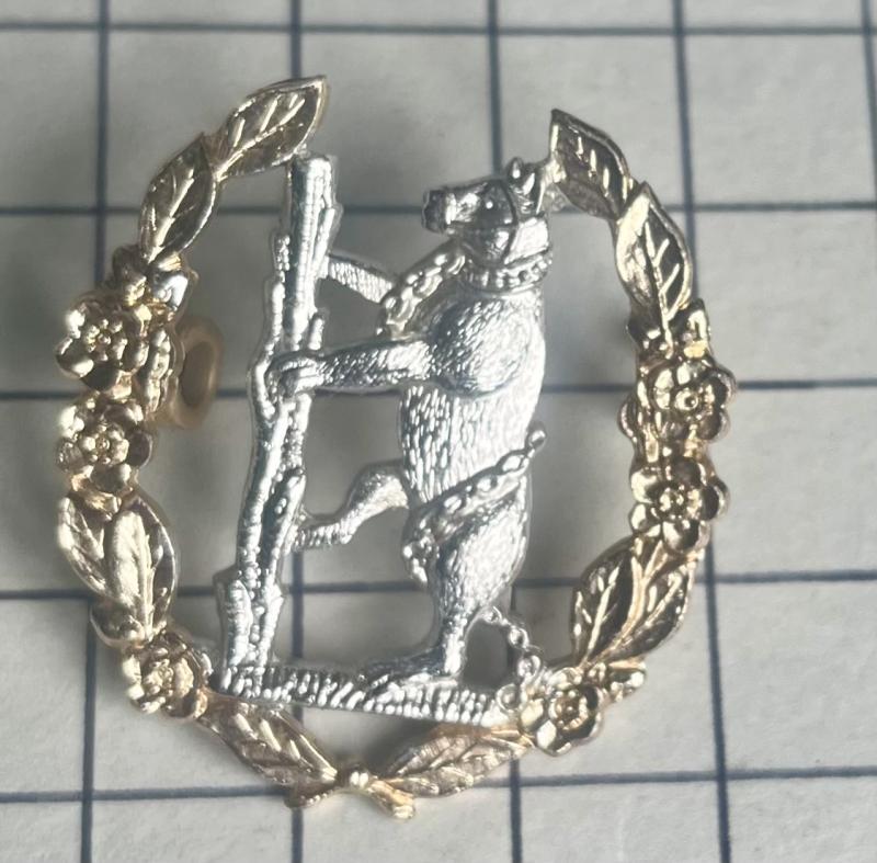 Queen's Own Warwickshire and Worcestershire Yeomanry Anodised Cap Badge