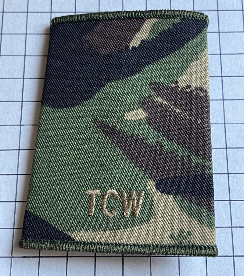 Pre-2012 Royal Air Force (RAF) Tactical Communications Wing (TCW) DPM Rank Slide Badge