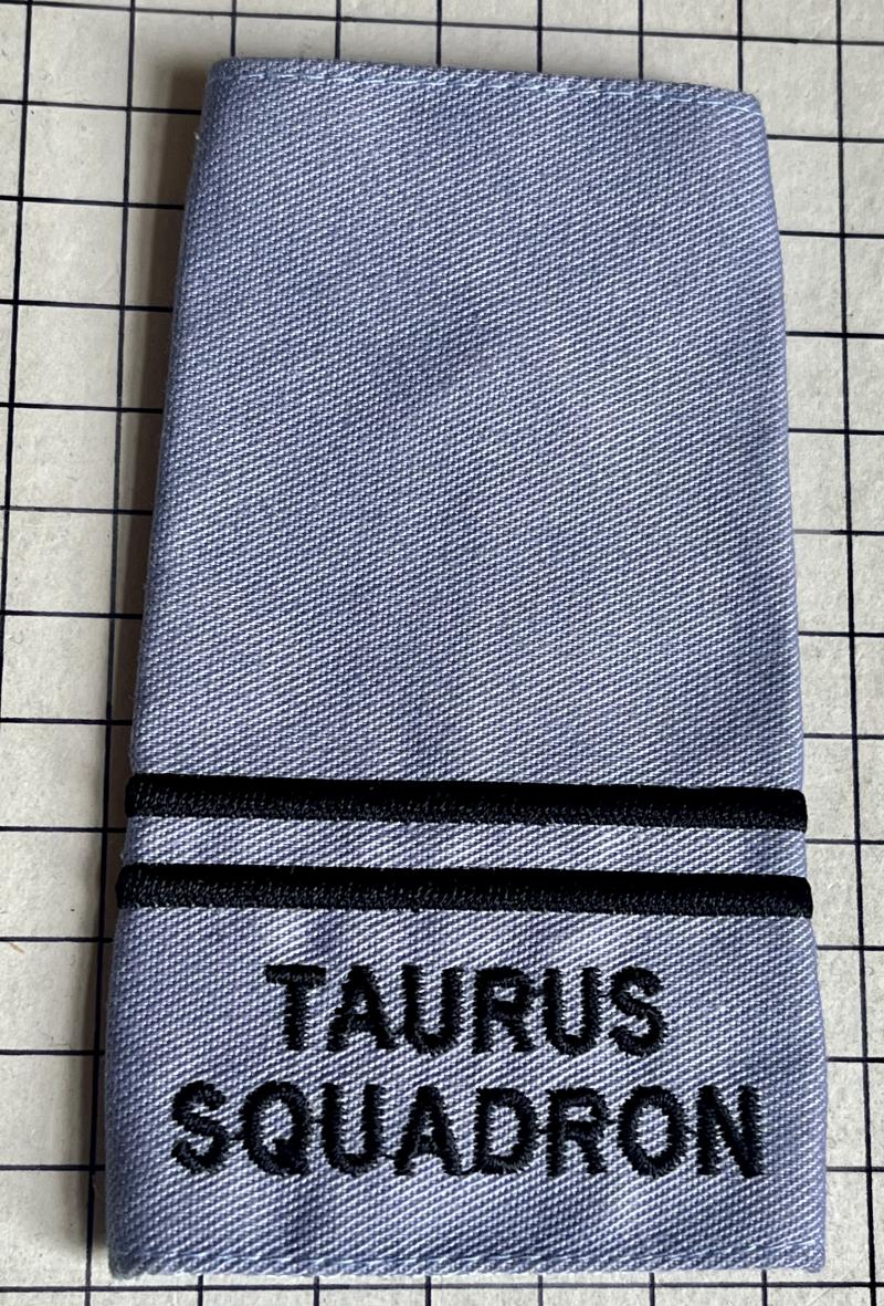 Officer Training Corps (OTC) RAF Birmingham Taurus Squadron Slip-on Rank Slide Rank Shoulder Title