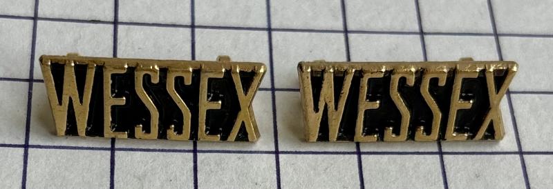 c1967-95 Pair of Wessex Regiment Territorial Army Officer and Warrant Officer Shoulder Title Badges