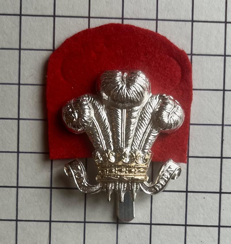 Royal Wiltshire Yeomanry (RWY) Anodised Aluminium Cap Badge