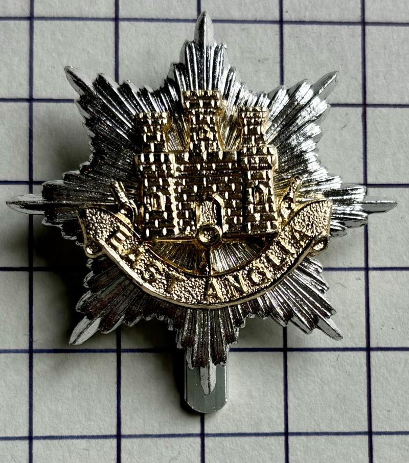 c1952-68 East Anglian Brigade Anodised Aluminium Army Cap Badge