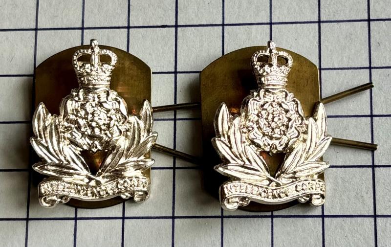 Pair of Intelligence Corps Anodised Aluminium Collar Badges