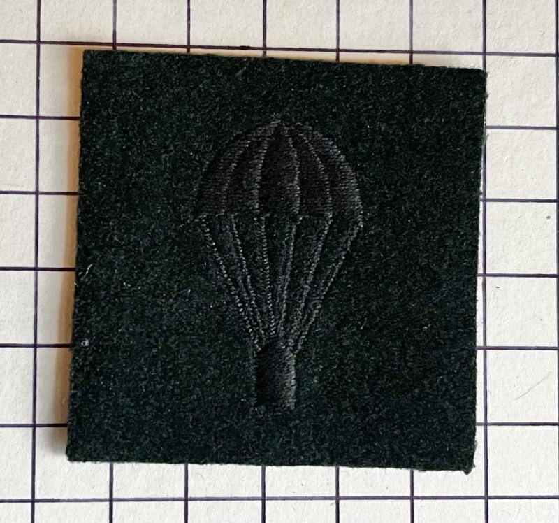 Cold War Era Parachute 'Light Bulb' Rifles Regiments Qualification Patch