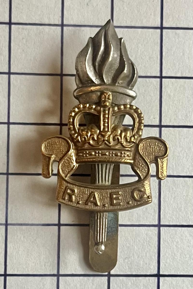 Post-1952 Royal Army Education Corps (RAEC) Other Ranks Bi-Metal QC Cap Badge